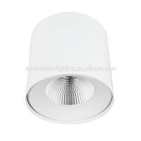 led surface mounted downlight 8w/12w adjustable led column light