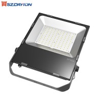 SZDAYTON New Arriving IP65 Mean-well Driver Waterproof IP65 10W-300w Outdoor LED Flood light 100W